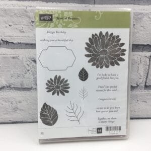 Special Reason (New)