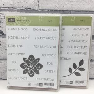 Crazy About you stamp - 2 part set