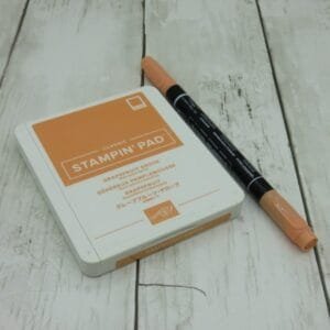 Ink Pad & Markers in Grapefruit Grove