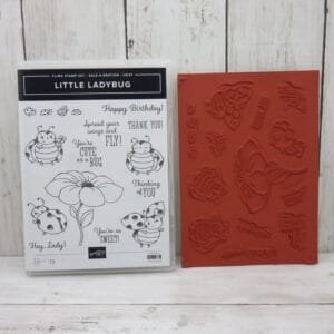 Little Ladybug (New)